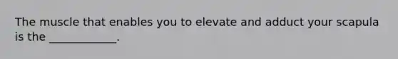 The muscle that enables you to elevate and adduct your scapula is the ____________.