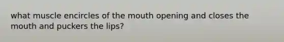 what muscle encircles of the mouth opening and closes the mouth and puckers the lips?