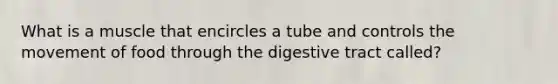 What is a muscle that encircles a tube and controls the movement of food through the digestive tract called?