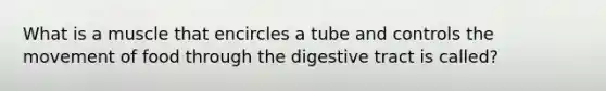 What is a muscle that encircles a tube and controls the movement of food through the digestive tract is called?