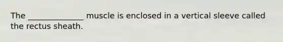 The ______________ muscle is enclosed in a vertical sleeve called the rectus sheath.