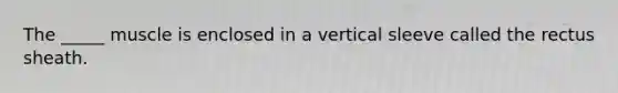 The _____ muscle is enclosed in a vertical sleeve called the rectus sheath.