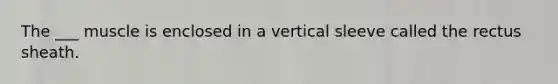 The ___ muscle is enclosed in a vertical sleeve called the rectus sheath.