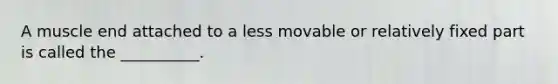A muscle end attached to a less movable or relatively fixed part is called the __________.