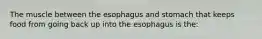 The muscle between the esophagus and stomach that keeps food from going back up into the esophagus is the: