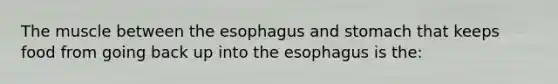 The muscle between the esophagus and stomach that keeps food from going back up into the esophagus is the: