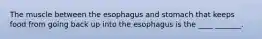 The muscle between the esophagus and stomach that keeps food from going back up into the esophagus is the ____ _______.