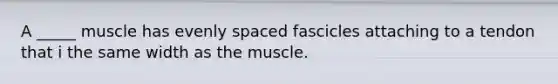 A _____ muscle has evenly spaced fascicles attaching to a tendon that i the same width as the muscle.