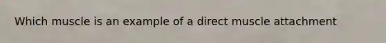 Which muscle is an example of a direct muscle attachment