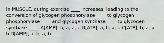 In MUSCLE, during exercise ____ increases, leading to the conversion of glycogen phosphorylase ____ to glycogen phosphorylase ____ and glycogen synthase ____ to glycogen synthase ____. A[AMP], b, a, a, b B[ATP], a, b, a, b C[ATP], b, a, a, b D[AMP], a, b, a, b