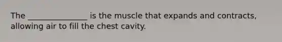 The _______________ is the muscle that expands and contracts, allowing air to fill the chest cavity.