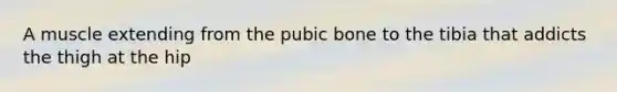 A muscle extending from the pubic bone to the tibia that addicts the thigh at the hip