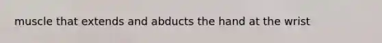muscle that extends and abducts the hand at the wrist