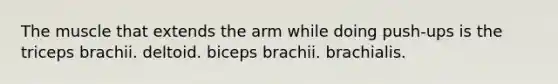 The muscle that extends the arm while doing push-ups is the triceps brachii. deltoid. biceps brachii. brachialis.