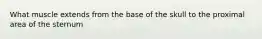 What muscle extends from the base of the skull to the proximal area of the sternum