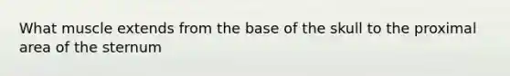 What muscle extends from the base of the skull to the proximal area of the sternum