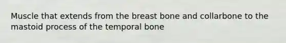 Muscle that extends from the breast bone and collarbone to the mastoid process of the temporal bone