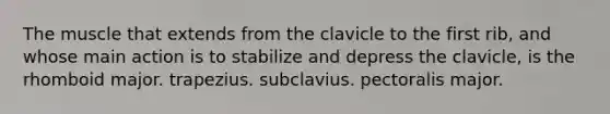 The muscle that extends from the clavicle to the first rib, and whose main action is to stabilize and depress the clavicle, is the rhomboid major. trapezius. subclavius. pectoralis major.