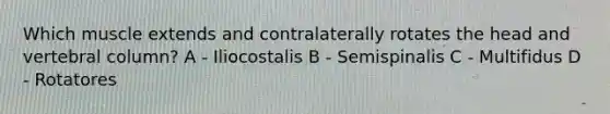 Which muscle extends and contralaterally rotates the head and vertebral column? A - Iliocostalis B - Semispinalis C - Multifidus D - Rotatores