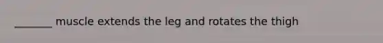 _______ muscle extends the leg and rotates the thigh