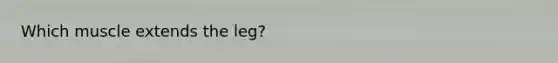 Which muscle extends the leg?
