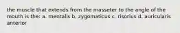 the muscle that extends from the masseter to the angle of the mouth is the: a. mentalis b. zygomaticus c. risorius d. auricularis anterior