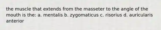 the muscle that extends from the masseter to the angle of the mouth is the: a. mentalis b. zygomaticus c. risorius d. auricularis anterior