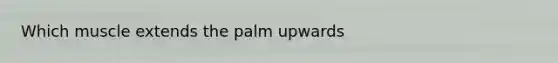 Which muscle extends the palm upwards