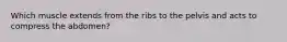 Which muscle extends from the ribs to the pelvis and acts to compress the abdomen?