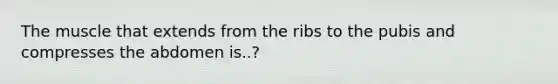 The muscle that extends from the ribs to the pubis and compresses the abdomen is..?