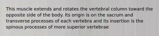 This muscle extends and rotates the vertebral column toward the opposite side of the body. Its origin is on the sacrum and transverse processes of each vertebra and its insertion is the spinous processes of more superior vertebrae