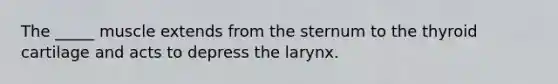 The _____ muscle extends from the sternum to the thyroid cartilage and acts to depress the larynx.