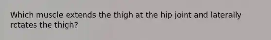 Which muscle extends the thigh at the hip joint and laterally rotates the thigh?