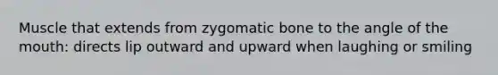 Muscle that extends from zygomatic bone to the angle of the mouth: directs lip outward and upward when laughing or smiling