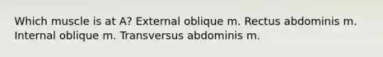 Which muscle is at A? External oblique m. Rectus abdominis m. Internal oblique m. Transversus abdominis m.