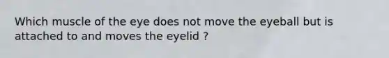 Which muscle of the eye does not move the eyeball but is attached to and moves the eyelid ?