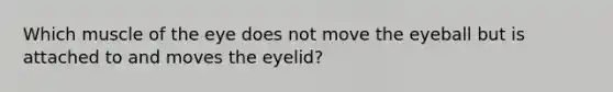 Which muscle of the eye does not move the eyeball but is attached to and moves the eyelid?