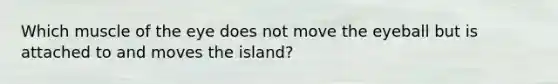 Which muscle of the eye does not move the eyeball but is attached to and moves the island?