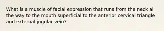 What is a muscle of facial expression that runs from the neck all the way to the mouth superficial to the anterior cervical triangle and external jugular vein?