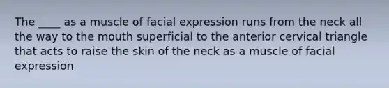 The ____ as a muscle of facial expression runs from the neck all the way to the mouth superficial to the anterior cervical triangle that acts to raise the skin of the neck as a muscle of facial expression