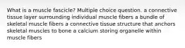 What is a muscle fascicle? Multiple choice question. a connective tissue layer surrounding individual muscle fibers a bundle of skeletal muscle fibers a connective tissue structure that anchors skeletal muscles to bone a calcium storing organelle within muscle fibers