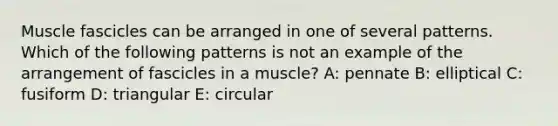 Muscle fascicles can be arranged in one of several patterns. Which of the following patterns is not an example of the arrangement of fascicles in a muscle? A: pennate B: elliptical C: fusiform D: triangular E: circular