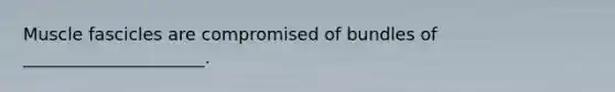 Muscle fascicles are compromised of bundles of _____________________.