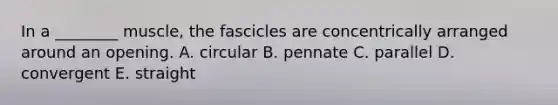 In a ________ muscle, the fascicles are concentrically arranged around an opening. A. circular B. pennate C. parallel D. convergent E. straight