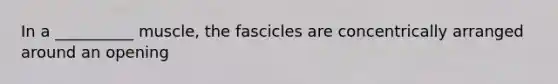 In a __________ muscle, the fascicles are concentrically arranged around an opening