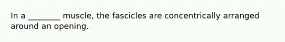 In a ________ muscle, the fascicles are concentrically arranged around an opening.