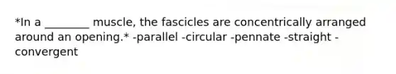 *In a ________ muscle, the fascicles are concentrically arranged around an opening.* -parallel -circular -pennate -straight -convergent