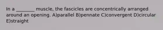 In a ________ muscle, the fascicles are concentrically arranged around an opening. A)parallel B)pennate C)convergent D)circular E)straight