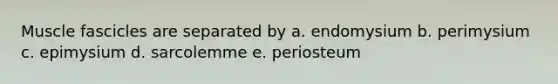 Muscle fascicles are separated by a. endomysium b. perimysium c. epimysium d. sarcolemme e. periosteum