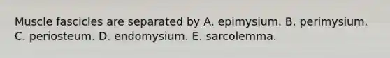 Muscle fascicles are separated by A. epimysium. B. perimysium. C. periosteum. D. endomysium. E. sarcolemma.